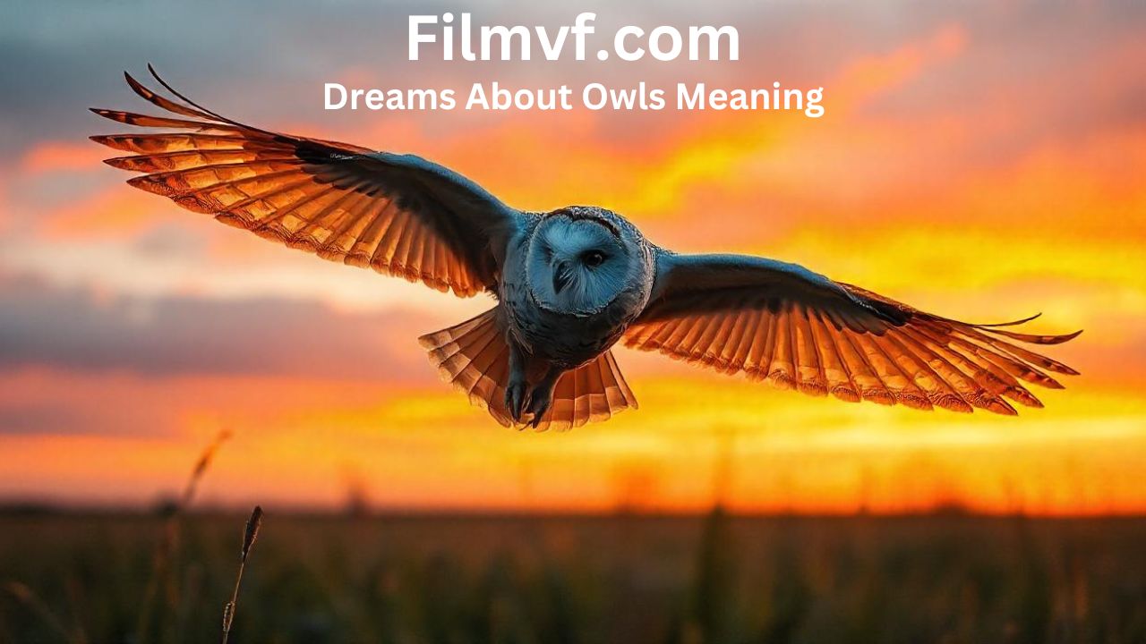 Dreams About Owls Meaning